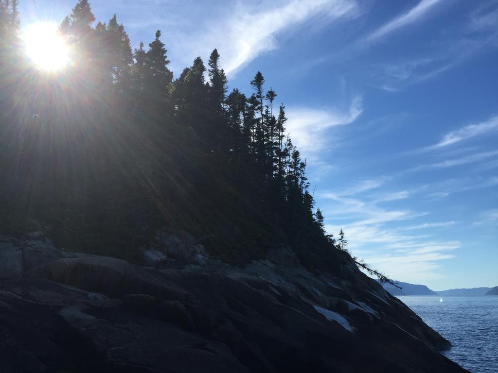 Residence Touristique Les Bouleaux Petit-Saguenay Экстерьер фото